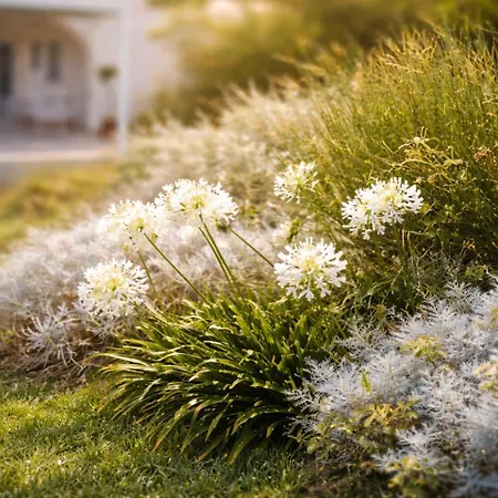 Bed & Breakfast Masseria Luci Grande